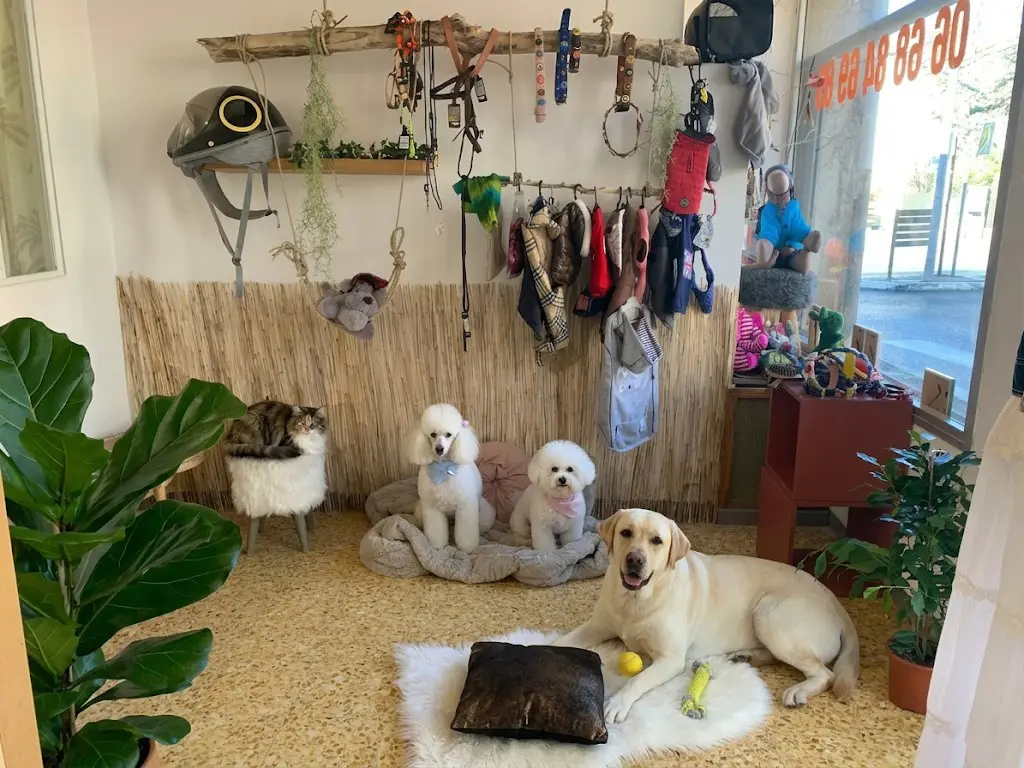 Bain chien LiLi Rose